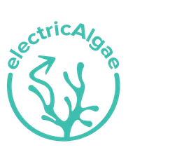 ElectricAlgae logo
