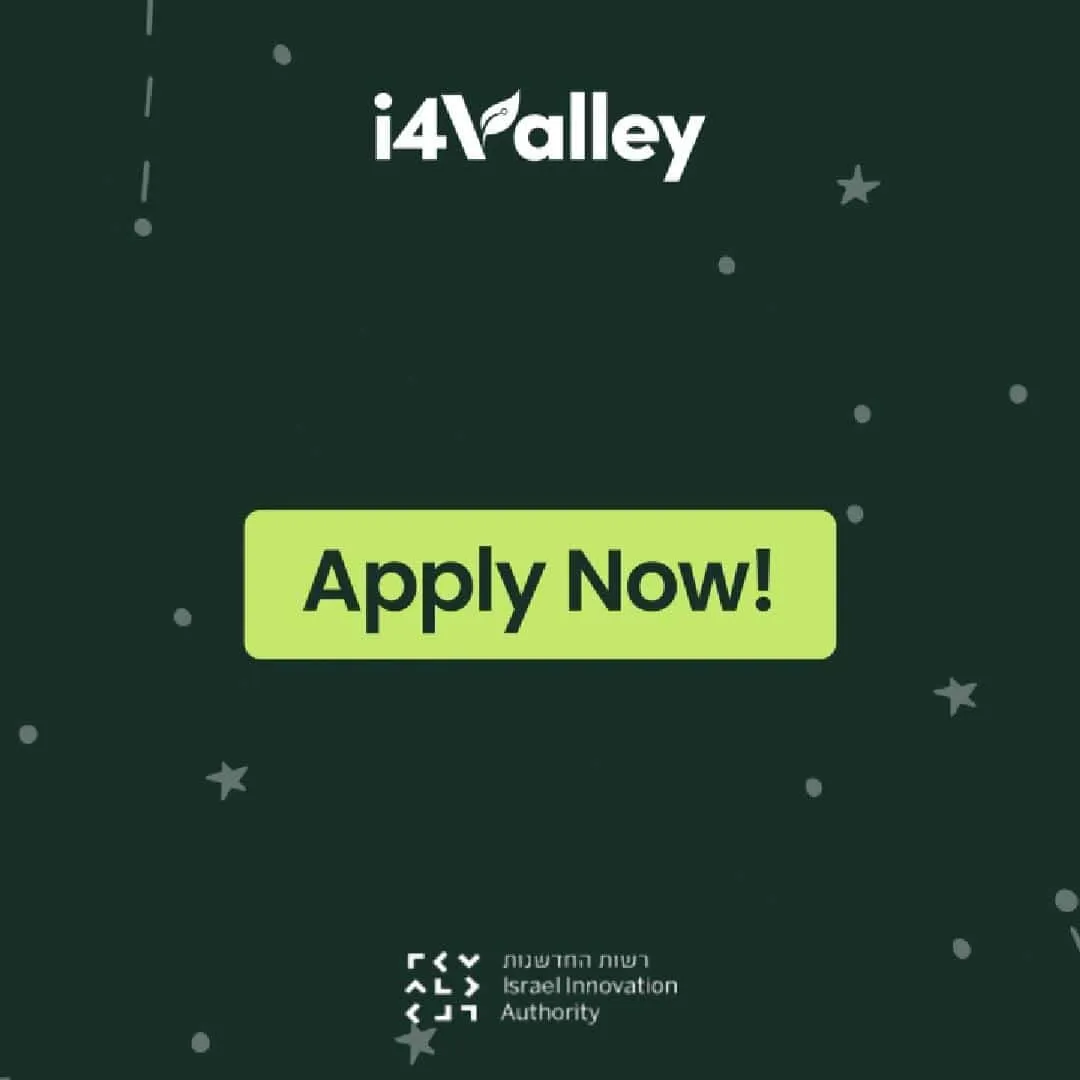 How the i4Valley program works